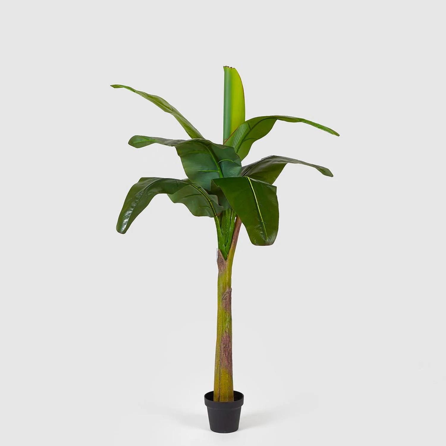 EDG Enzo De Gasperi Pianta Artificiale Banano con Vaso 170cm 9 Foglie Verde