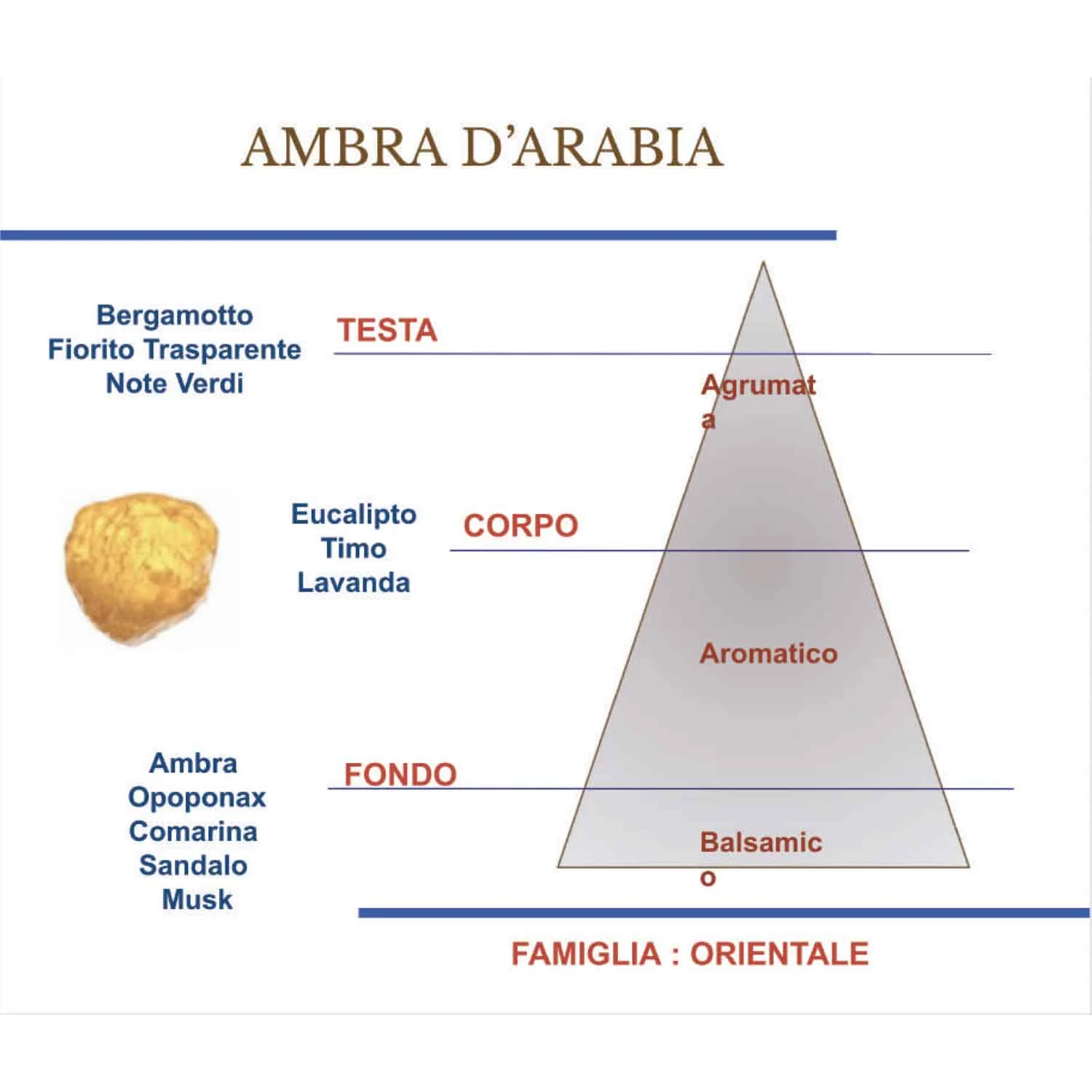 HYPNO CASA - Profumatore Diffusore con Bastoncini Ambra D'Arabia Eco 250ml - Image 2