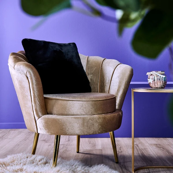 WERNS Poltrona Conchiglia Audrey Champagne 82x75x79cm Velluto - Image 2